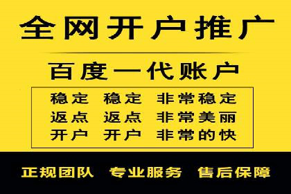 案例研究：百度竞价广告投放效果